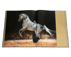 Arabian Horses libro