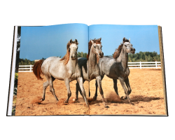 libro assouline Arabian Horses