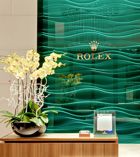 Nuestra showroom Rolex 