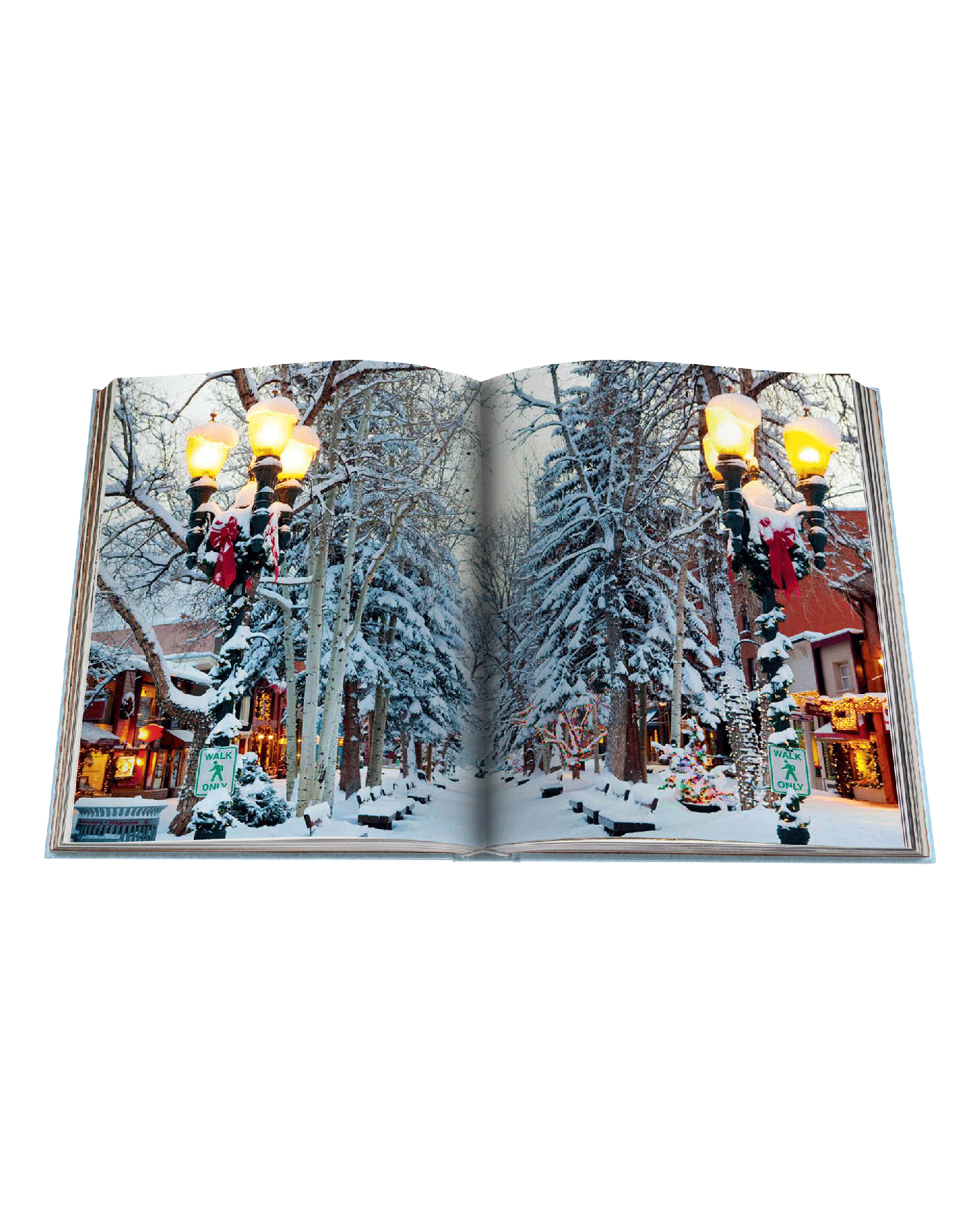 assouline-aspen-style