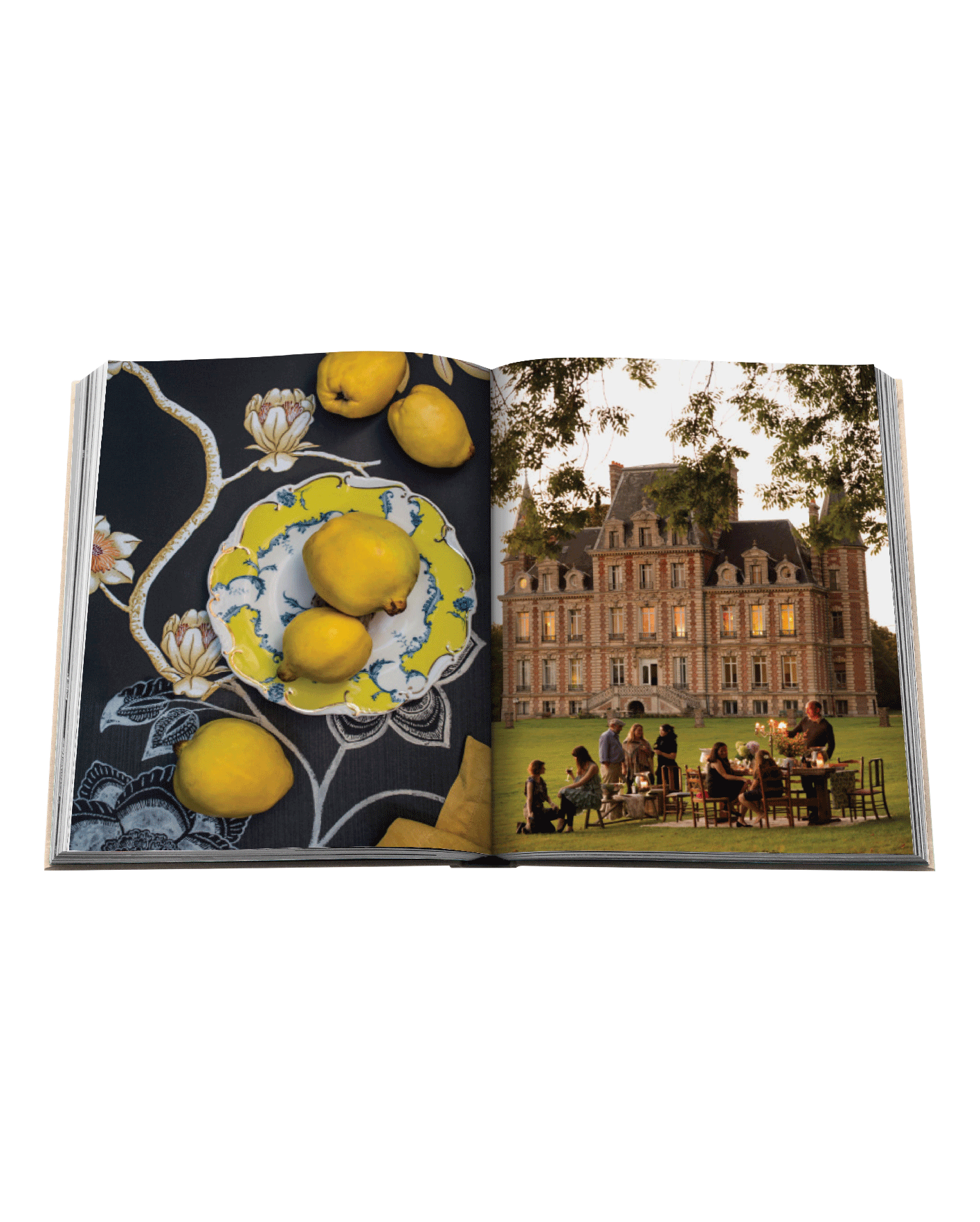 libro assouline chateau life