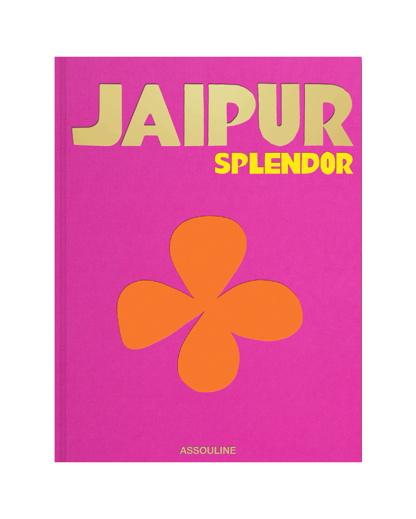 libro assouline jaipur splendor