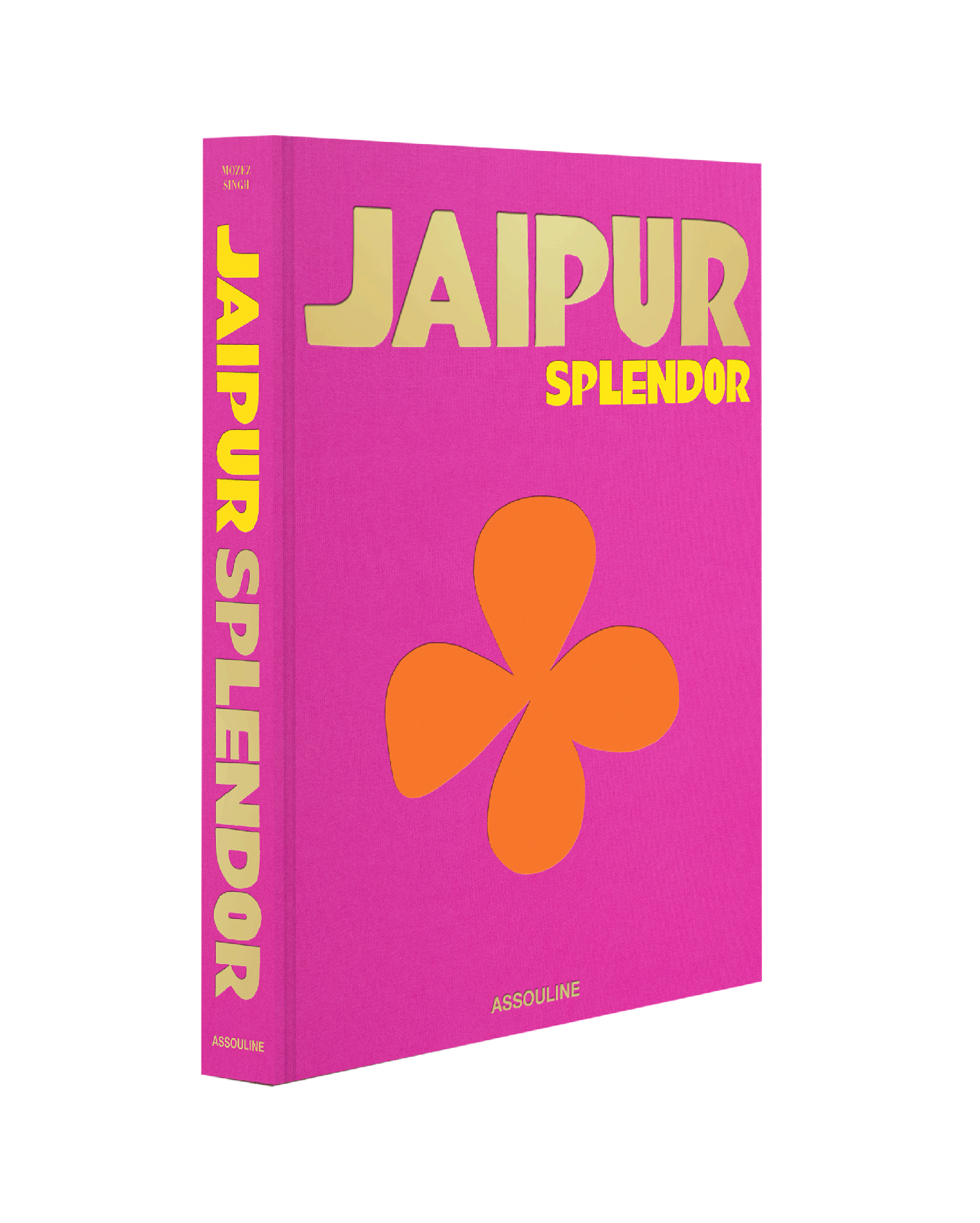 libro assouline jaipur splendor