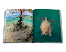 libro assouline red sea the saudi coast