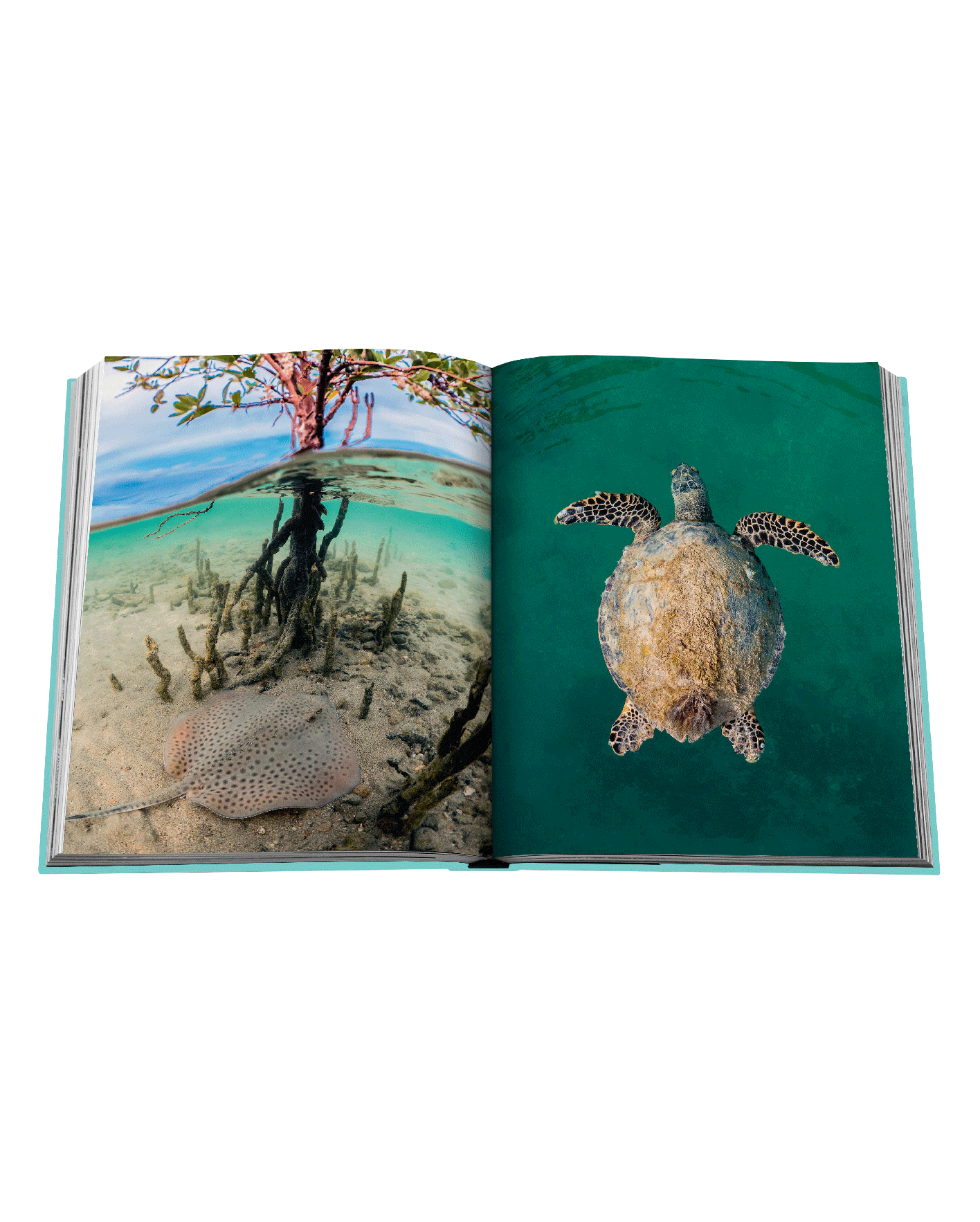 libro assouline red sea the saudi coast